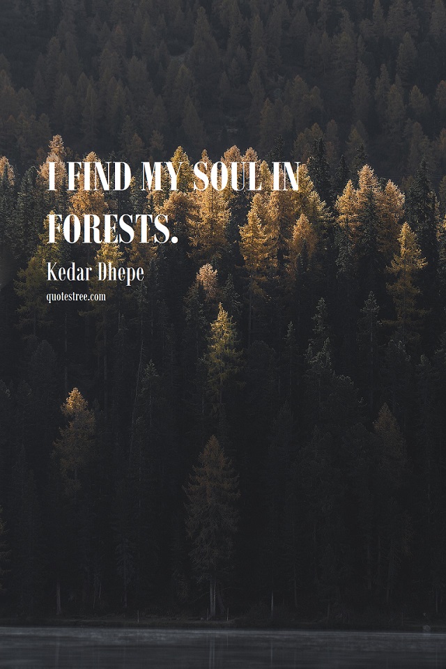 I Find My Soul in Forests. Kedar Dhepe