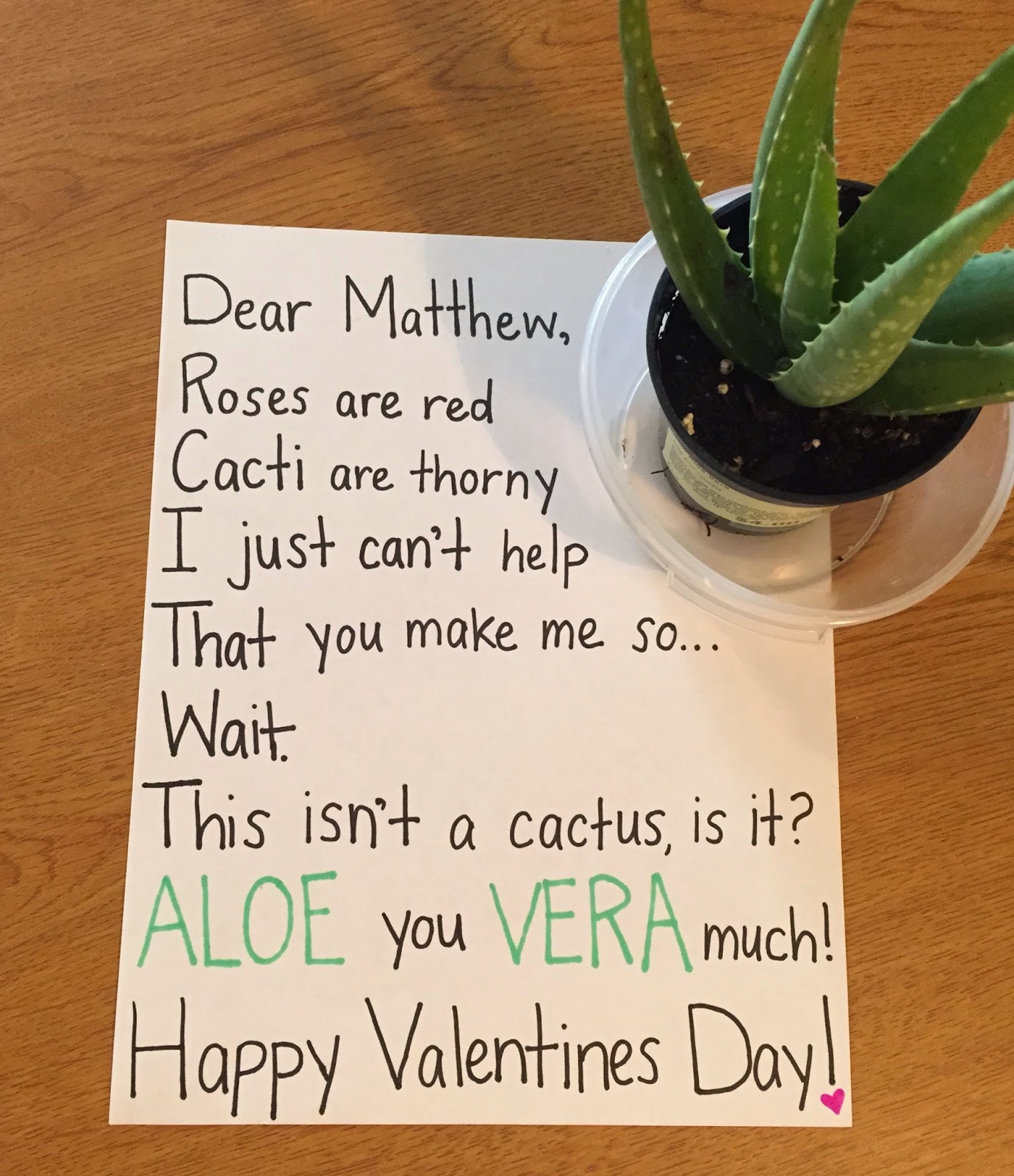 Sociolatte: Best Valentines' Day Letter Ever