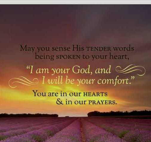 50 best get well soon quotes images messages to share