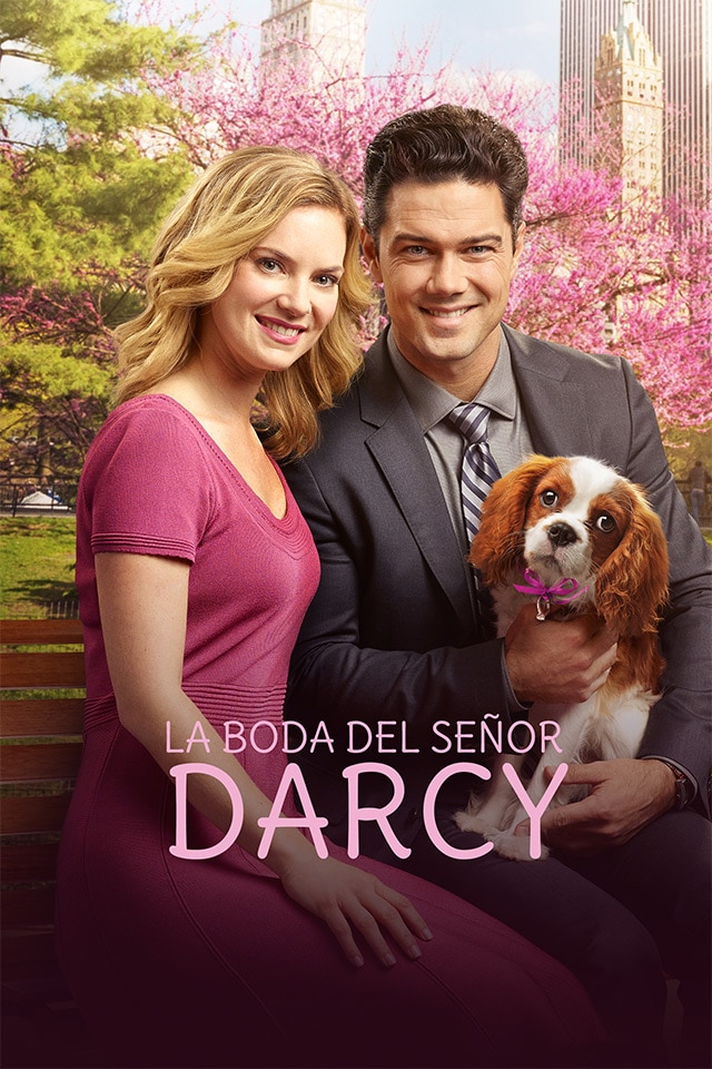 Marrying Mr. Darcy (2018) WEB-DL 1080p Latino