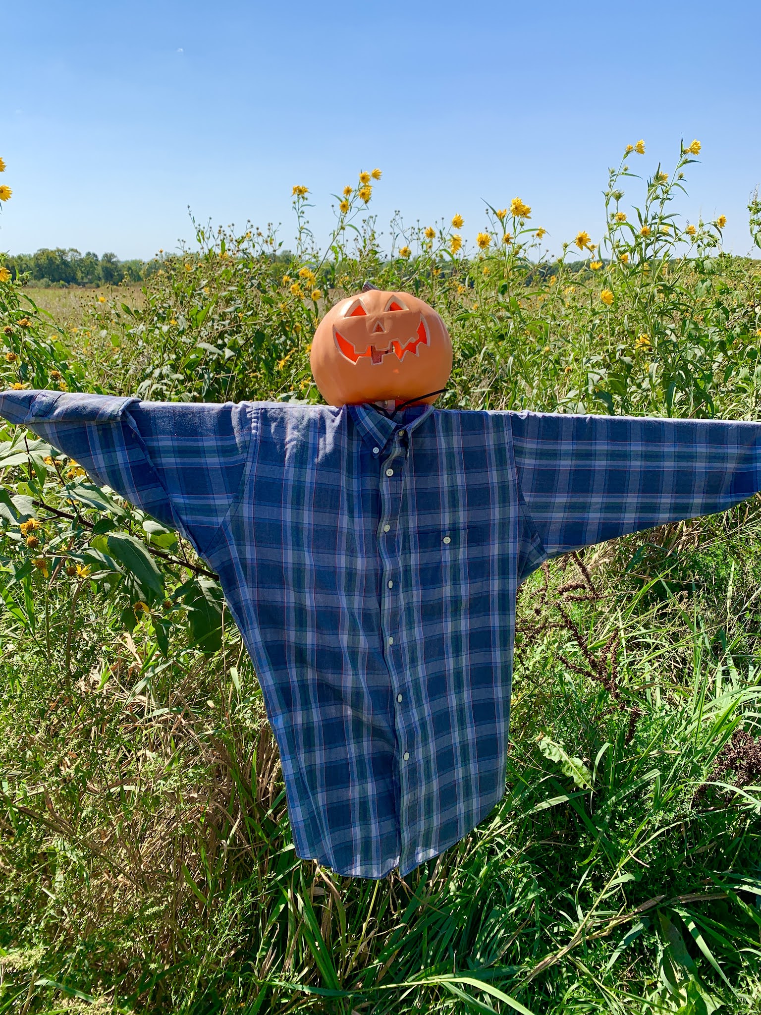 Saylorville Lake 2021 Red Feather Prairie Maze