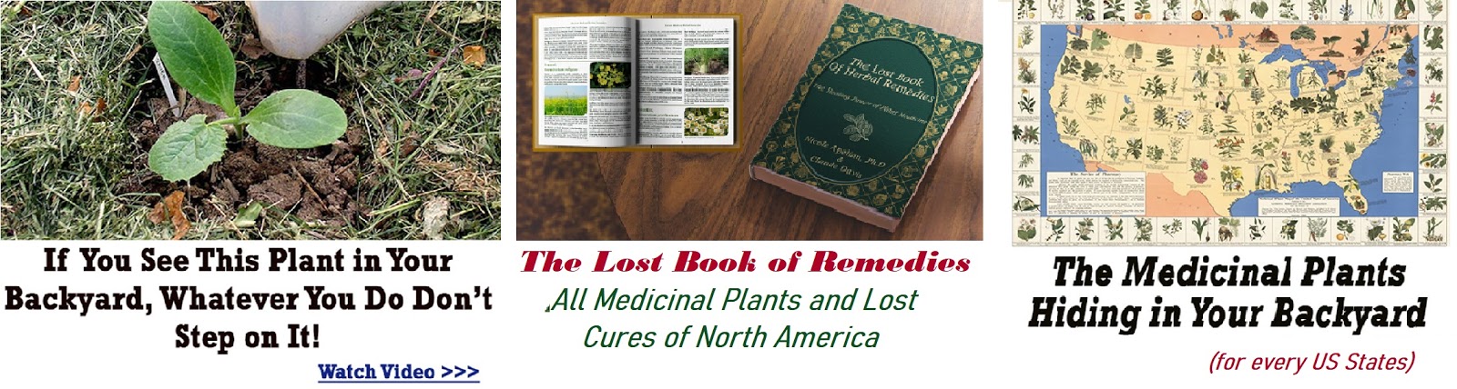  The lost book of herbal Remedies