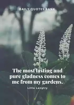 Famous Quotes About Garden And Life Garden Proverbs Quotes