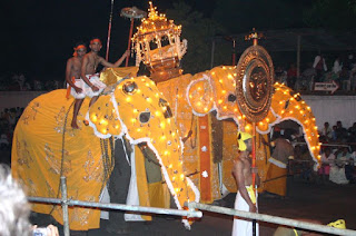 Esala Perahera festivalinde Seylan filleri.