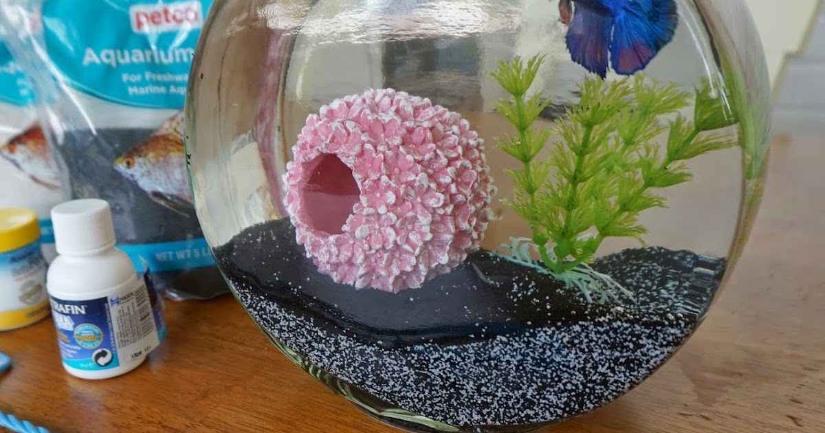 Cool glass fish bowl decorations ideas and tips