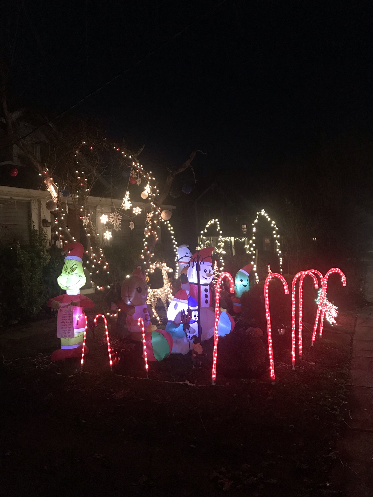 NJ Budelis Kingston, NJ Holiday Lights