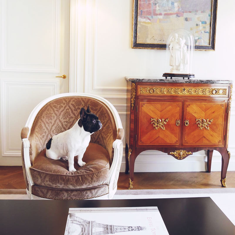 Travel Guide | Places: La Réserve Hotel, Paris