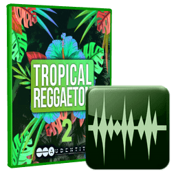 Audentity Tropical Reggaeton 2