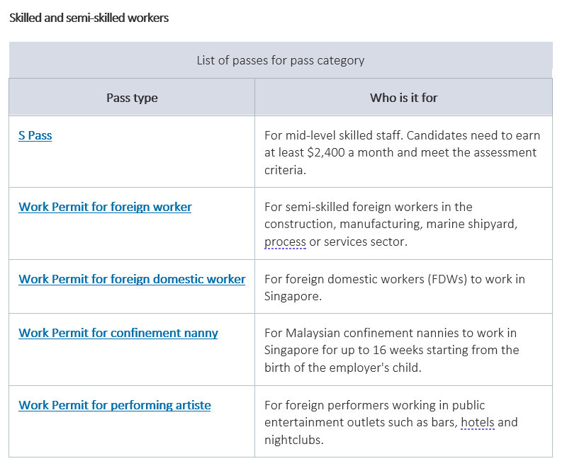 Types of Passes for entry to Singapore Explained