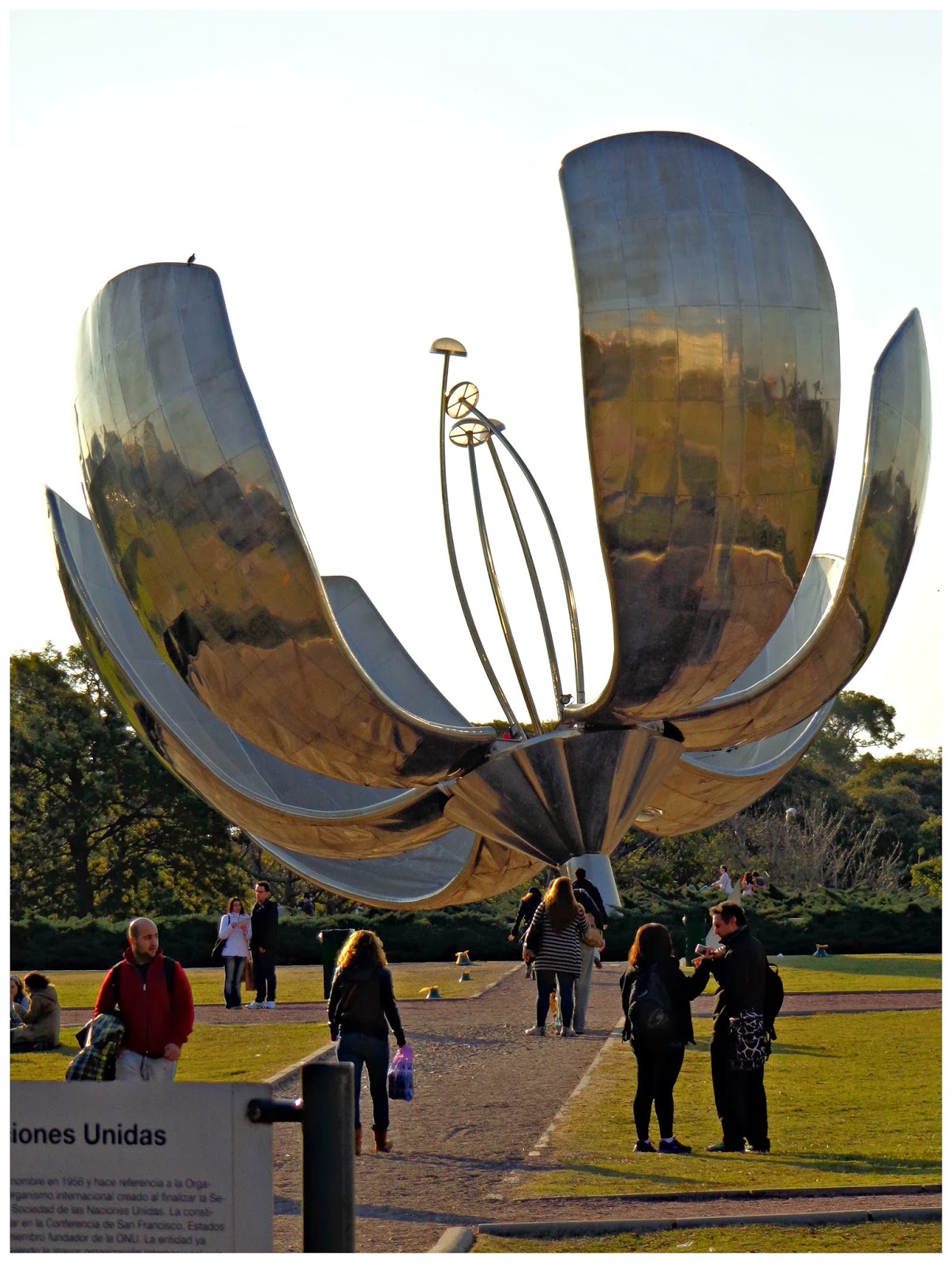 Arte+: Floris Genérica: La flor de Buenos Aires.