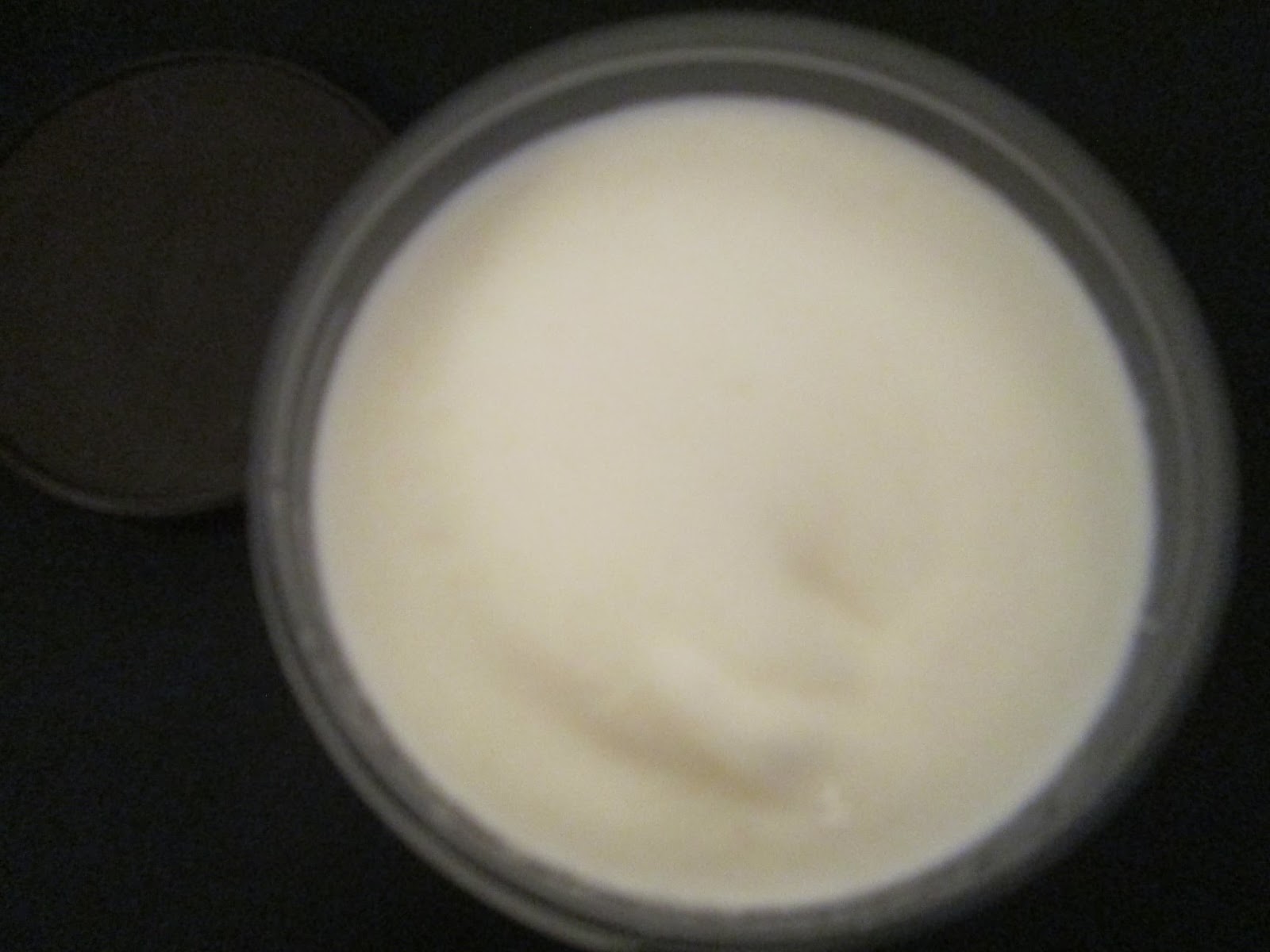 David's Ice Cream Reviews Talenti Caribbean Coconut