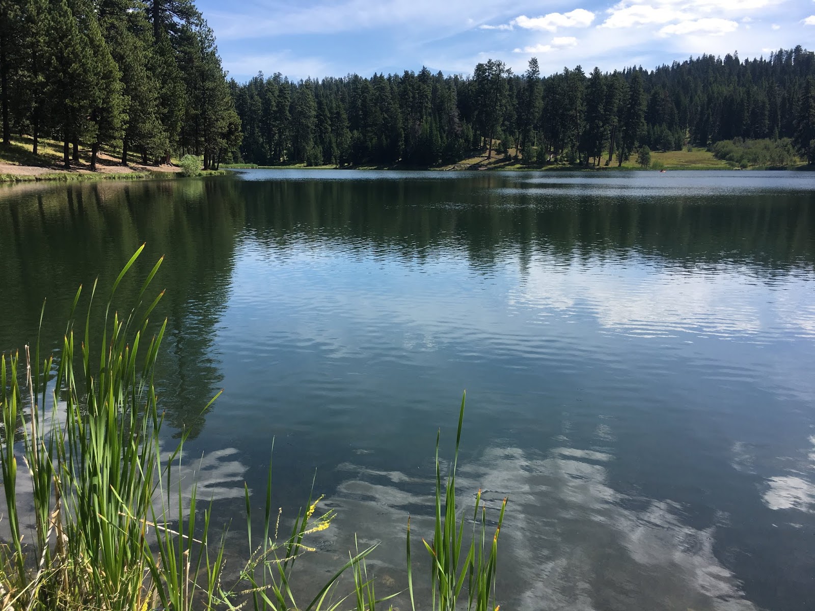 And so it begins... Walton Lake with Grandpa 2019