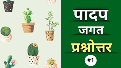 plantae classification, plantae kingdom in hindi, kingdom plantae classification