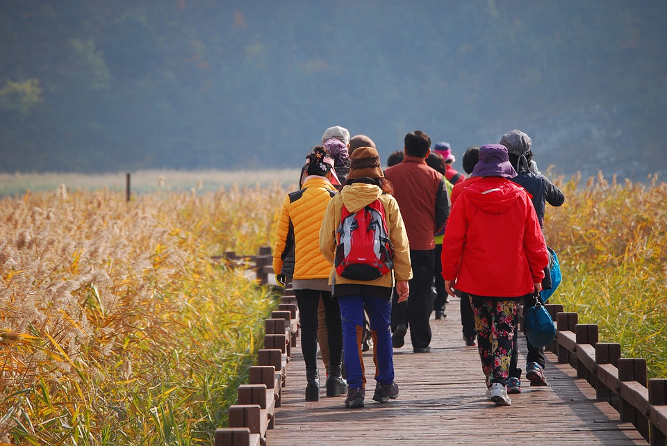 How to Stay Fit and Healthy While Traveling, how to maintain health in journey