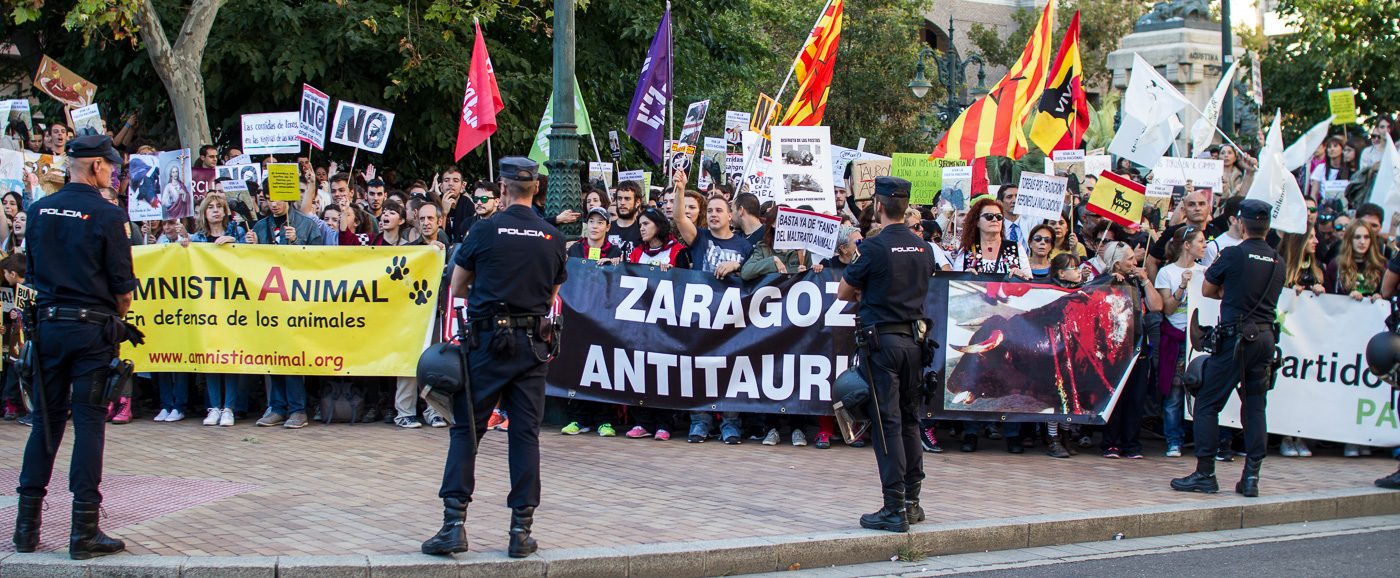 Fiestas del Pilar 2016 Zaragoza - Manifestación Antitaurina - AntiBullfight Zaragoza 
