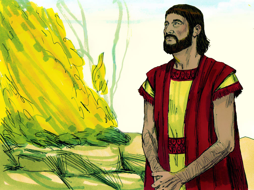 Historia Bíblica 7 Abram (Abraham) y Lot se separan Recursos de