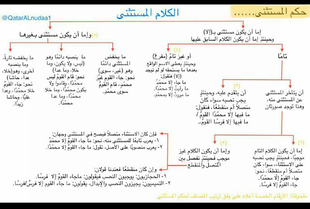 المبتدئين والأخبار بالتفصيل