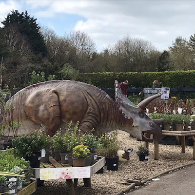 A triceratops alongside a display of potted plants.