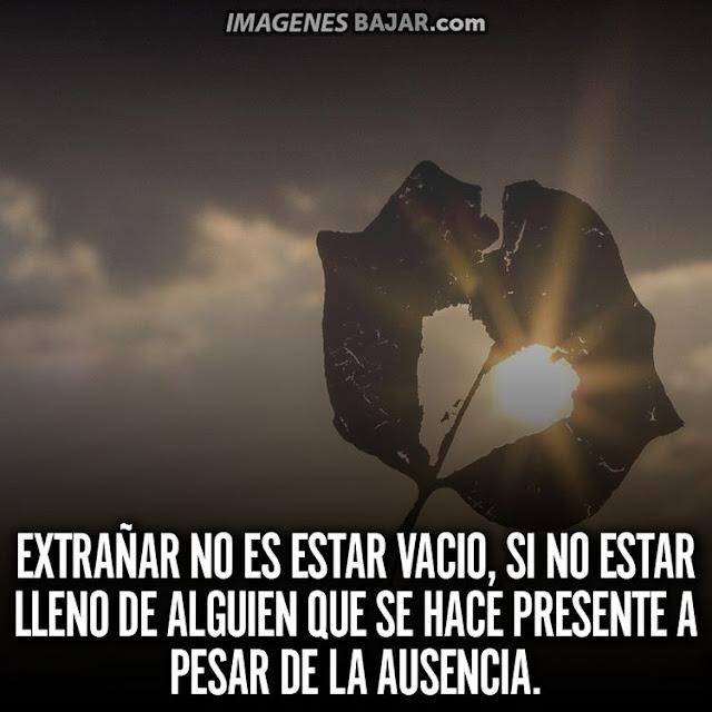 imagenes de te extraño amor frases