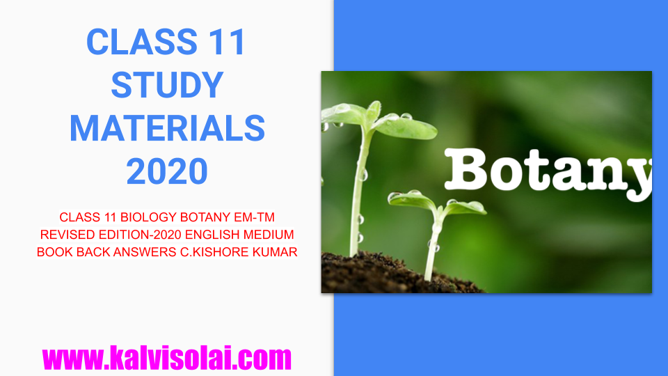 CLASS 11 BIOLOGY BOTANY EMTM REVISED EDITION2020 ENGLISH/TAMIL MEDIUM