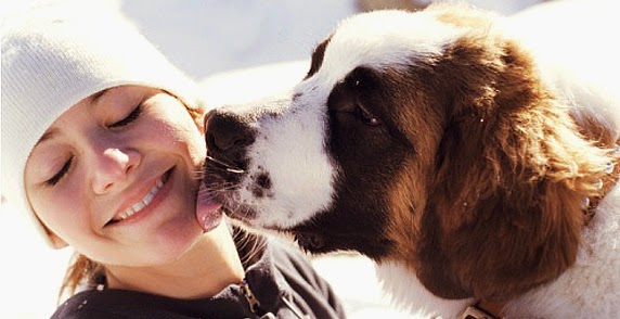 How to Love Your Dog - Believe It or Not!