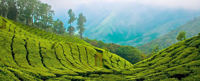 BOOKS ON DARJEELING