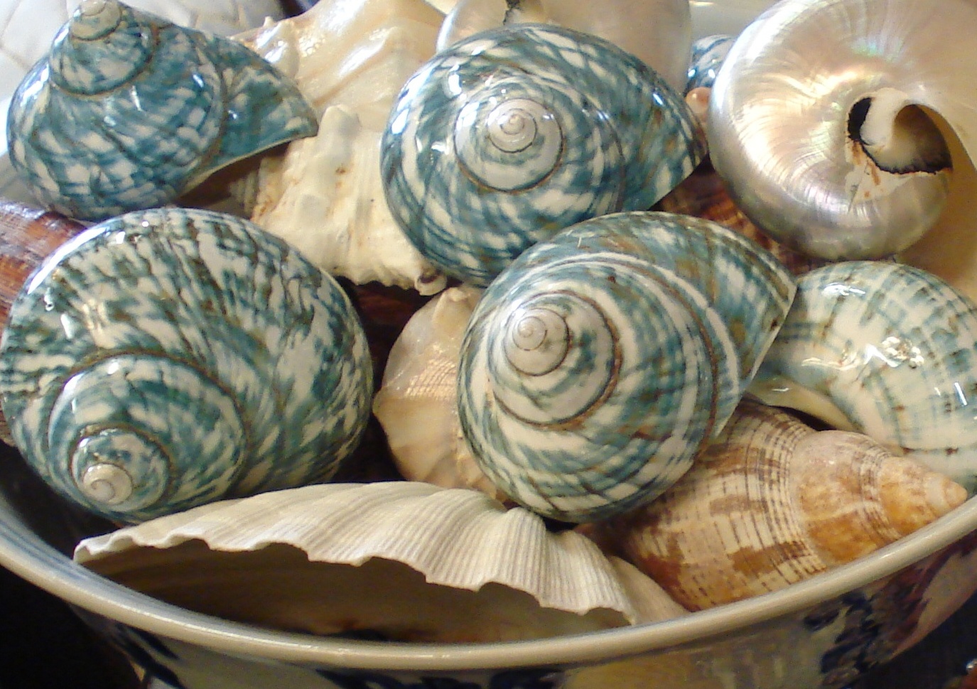 ZUNIGA INTERIORS {Beach} Inspired...Today