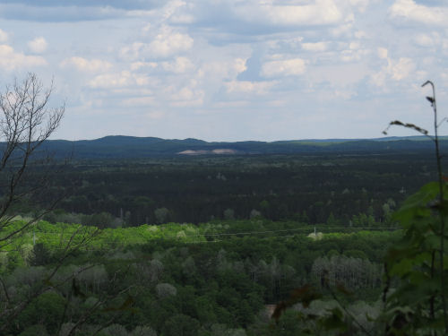 vista with Briar Hill