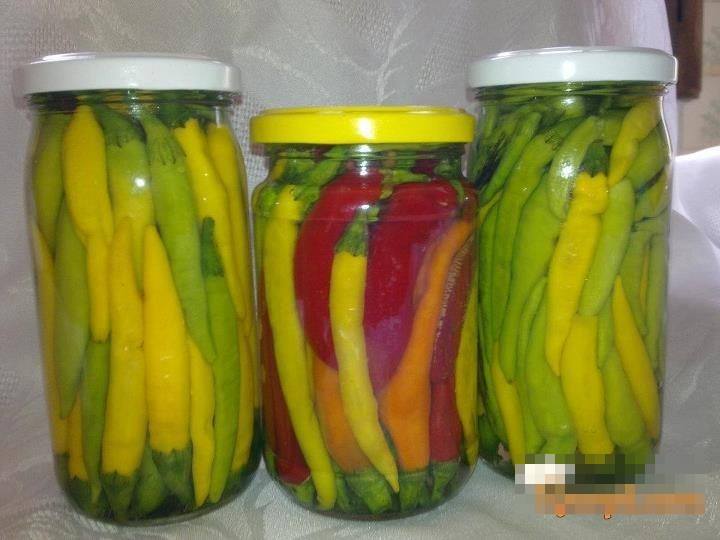 Slatka Kuhinja Najslađi Zalogaji Recepti Za Slana Jela Ukiseljene Feferone U Tegli Ukiseljene Feferone U Tegli