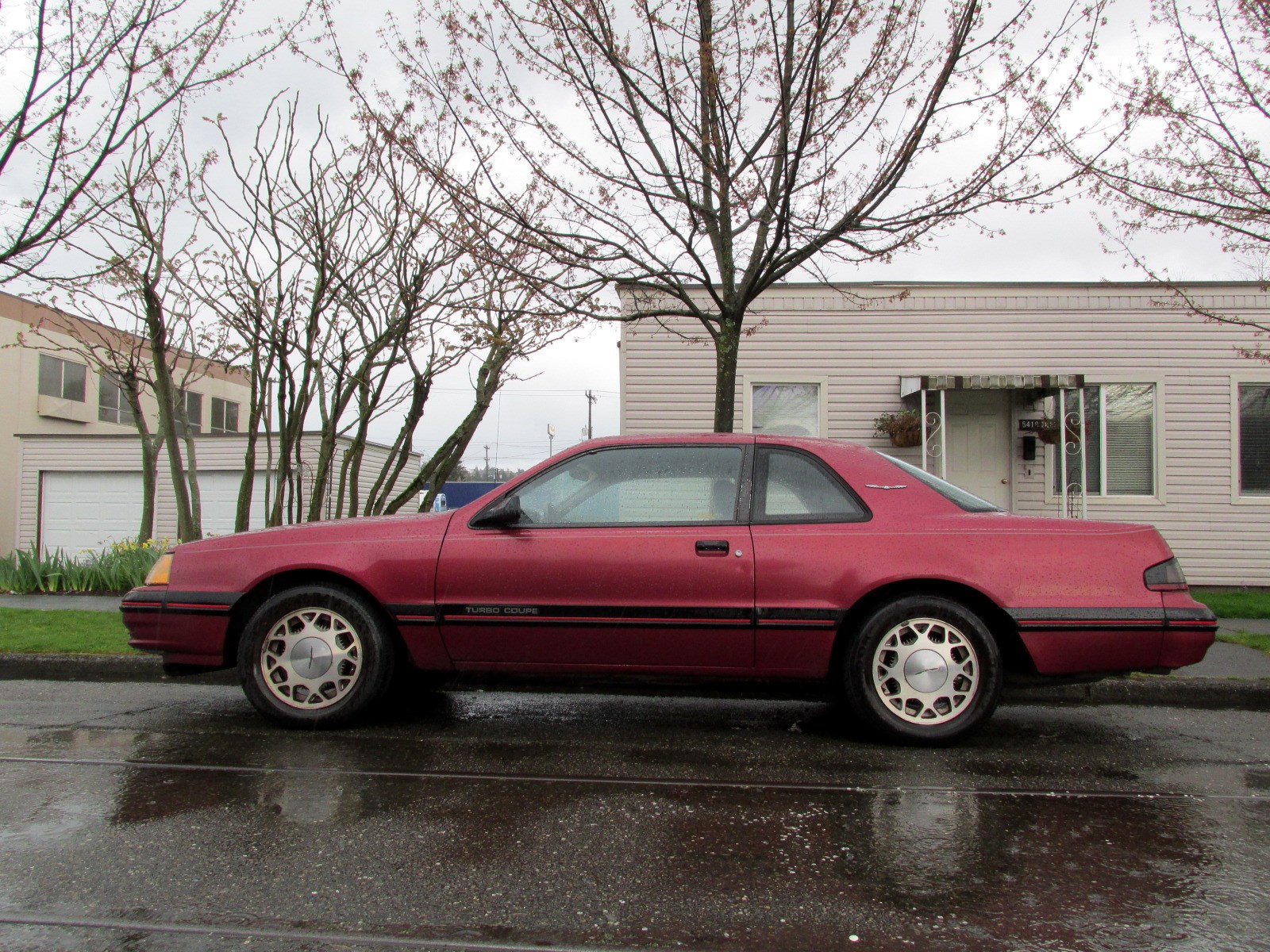 Seattle's Classics: 1987 Ford Thunderbird Turbo Coupe