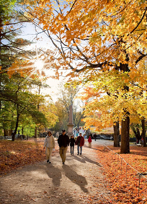 Fall foliage hiking in Merrimack Valley