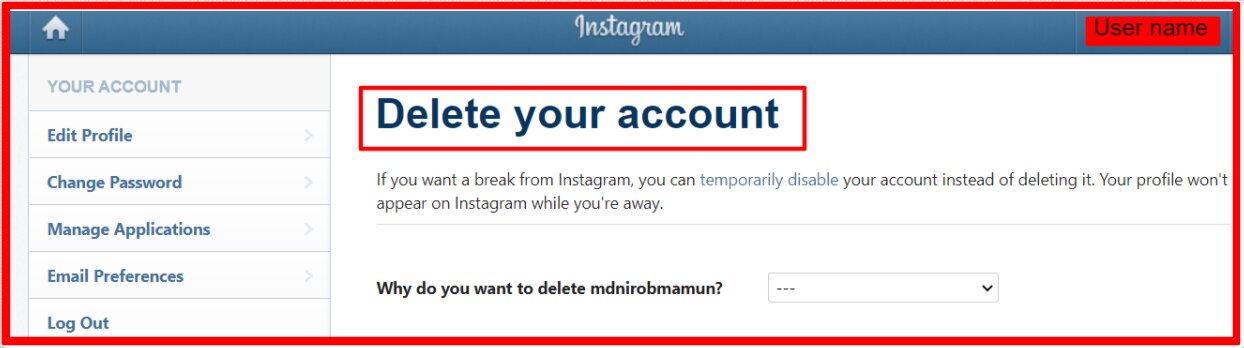 Instagram Delete Your Account page