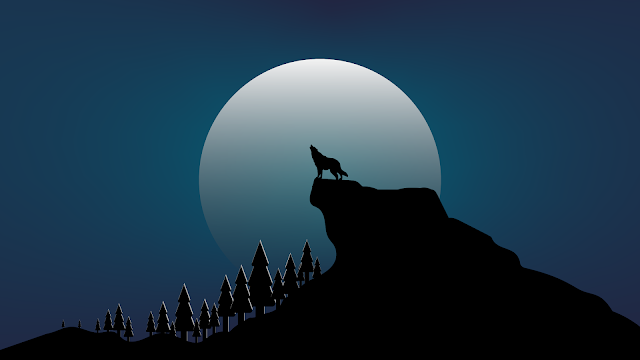 minimalist illustration of a wolf howling in the forest night wallpaper 8k