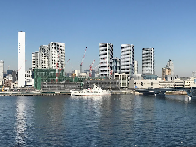 Toyosu Fish Market