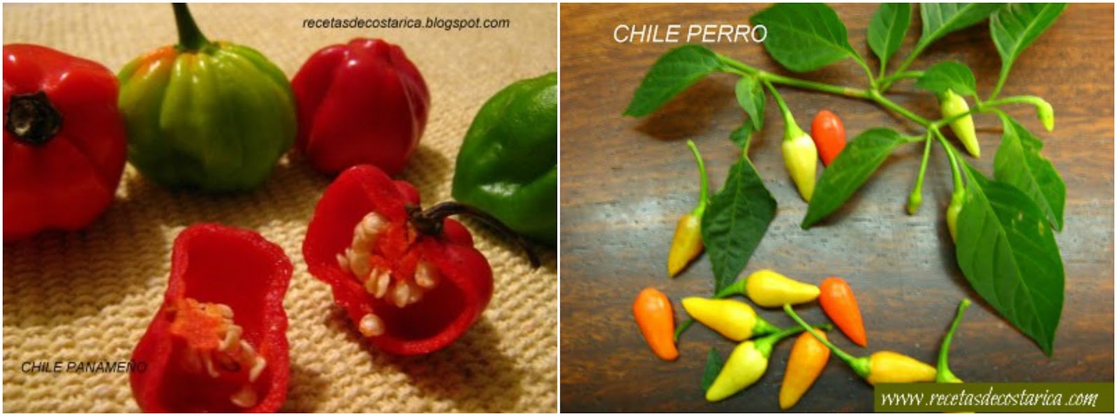 Cocina Costarricense dip mermelada chile dulce y picante