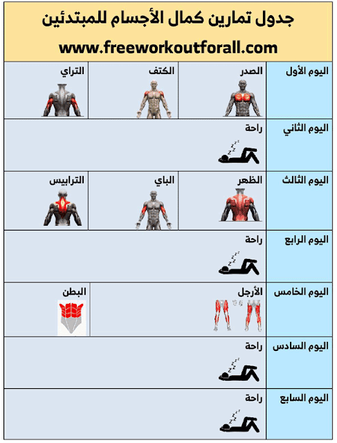 جدول تمارين كمال الأجسام للمبتدئين