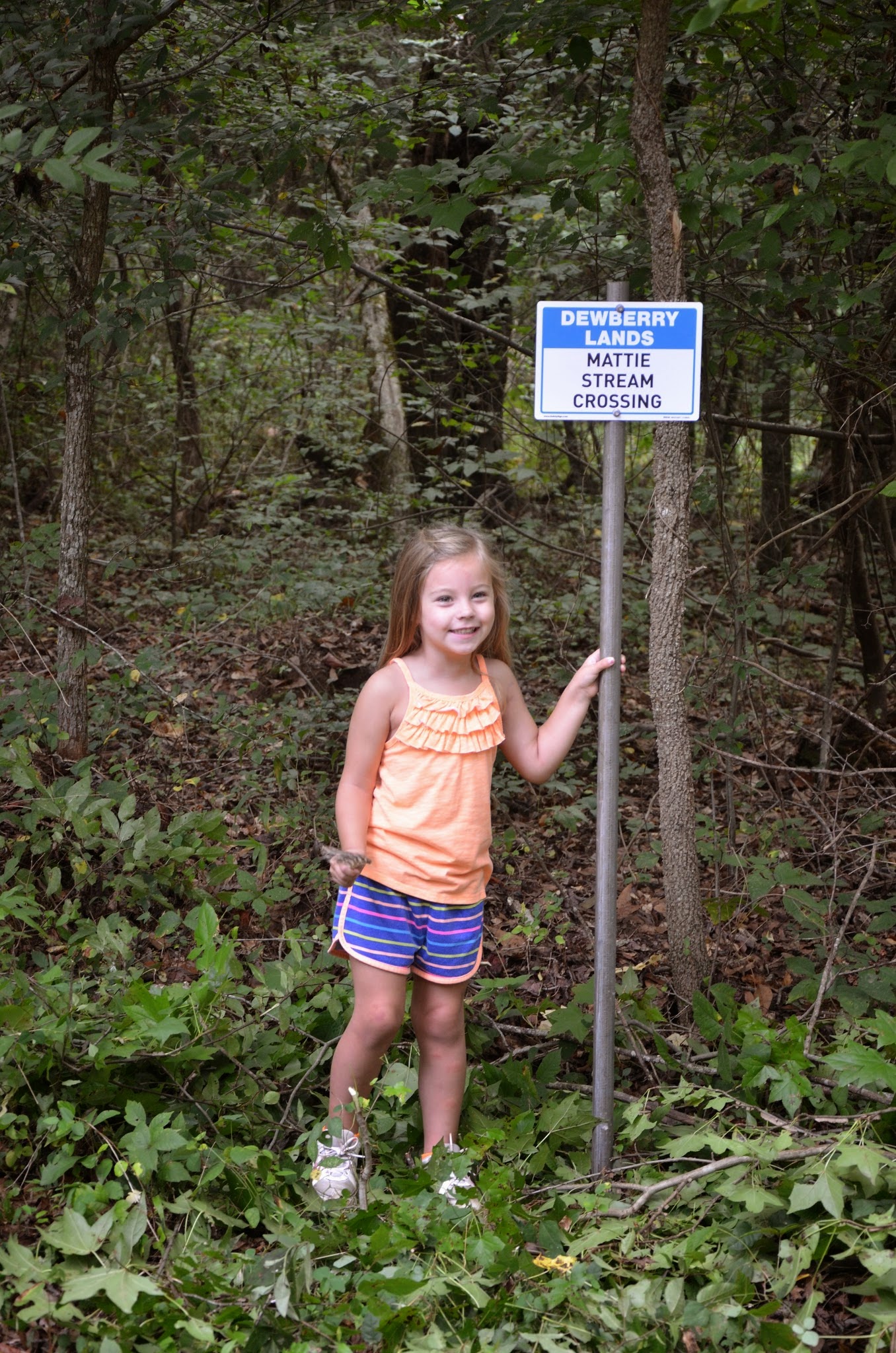 Dewberry Lands Trees Grow and So Do Grands