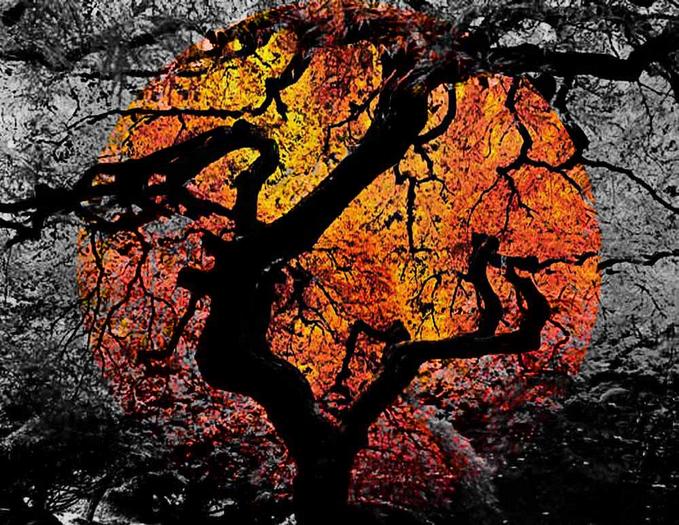 Co mi w duszy gra... Zante Edgar Allan Poe