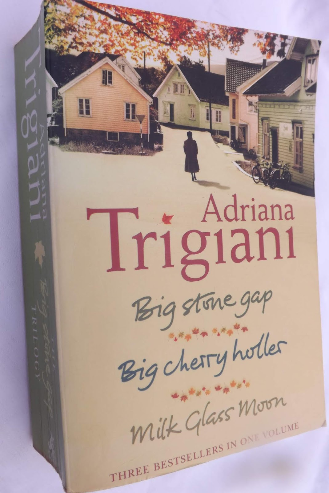 Vintage Reads Big Stone Gap