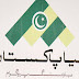 Naya Pakistan Housing Program Scheme Detail In Urdu