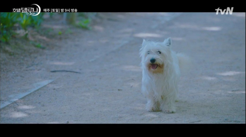 이 이미지는 대체 속성이 비어있습니다. 그 파일 이름은 20210511160708.png입니다
