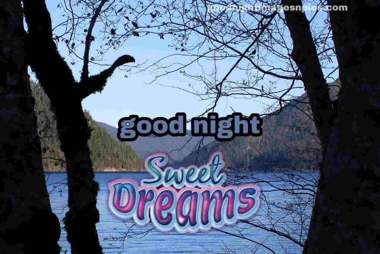 HD Good Night Lovely Images HD Good Night Lovely Images