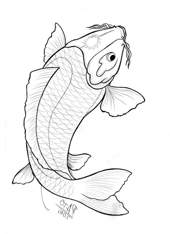   30 Gambar  Ikan  Koi Kartun Asli Dan Sketsa 
