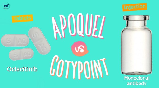 cytopoint tablets