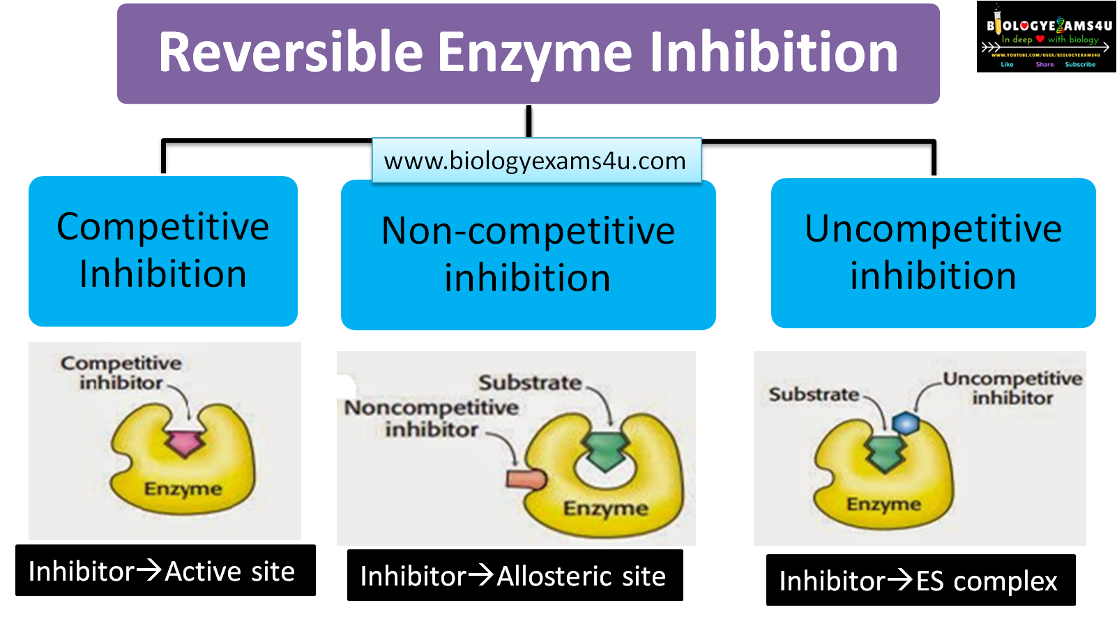 Reversible Enzyme Inhibition: Competitive,  Non Competitive and  Uncompetitive Inhibition  with examples
