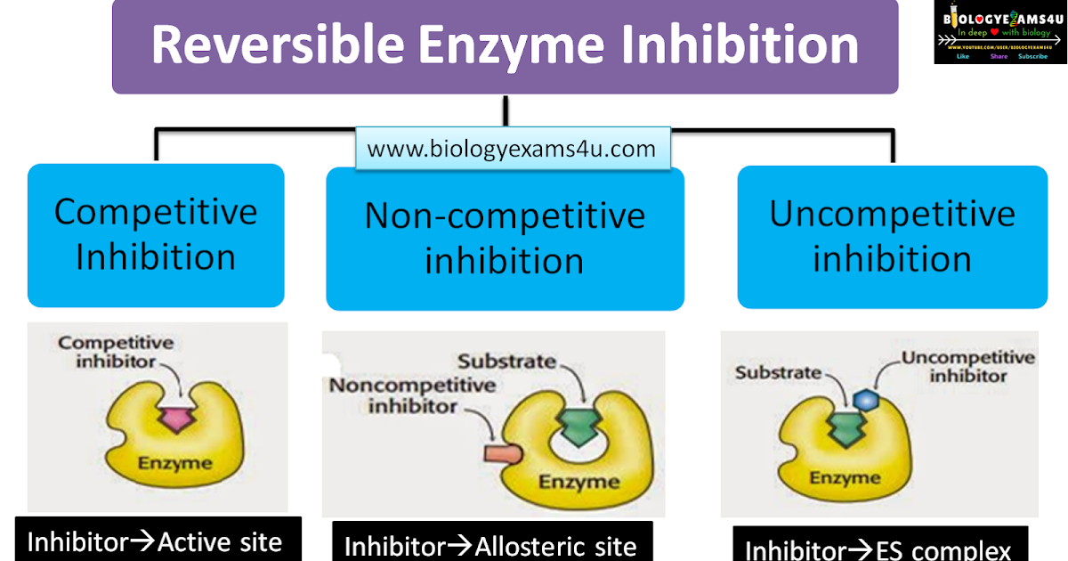 Reversible Enzyme Inhibition Competitive, Non Competitive and