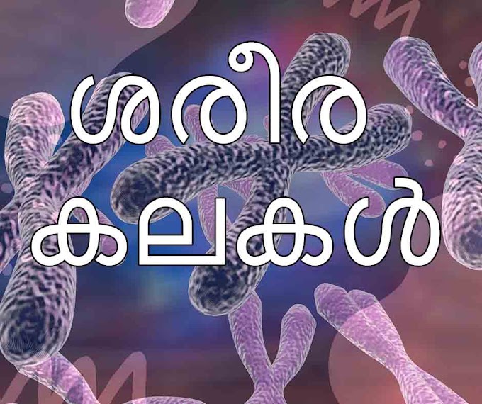 ശരീര കലകൾ(tissue)