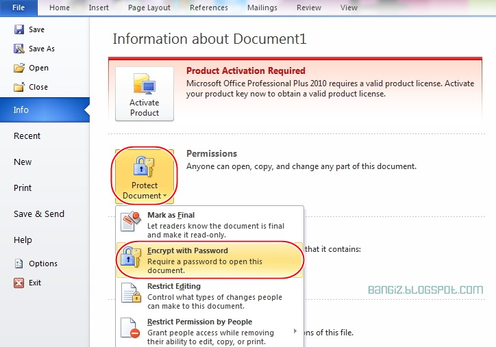 Cara Membuat Password Pada Dokumen Microsoft Word | Bangiz