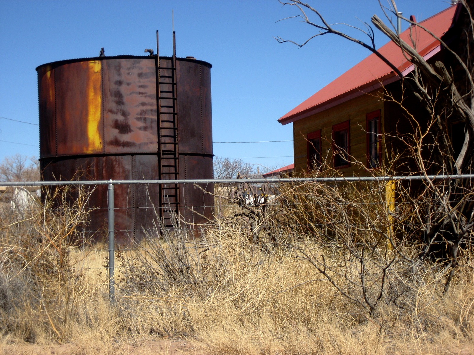 Living Rootless Rodeo, New Mexico