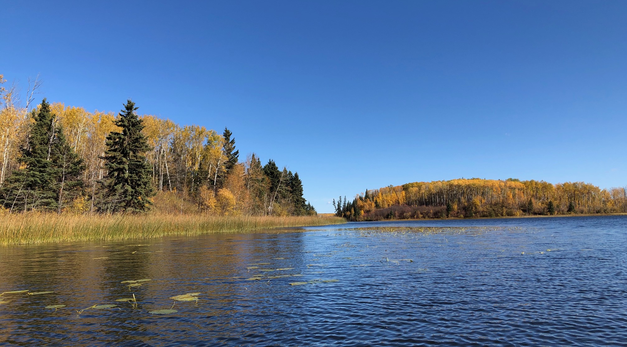 Paddling Near Edmonton, Alberta, Canada Island Lake, Athabasca